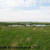 Wetland, wetland restoration, Glacial Ridge National Wildlife Refuge